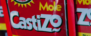 Mole Castizo